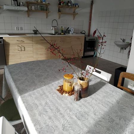 Apartmán v Anenském údolí Moravská Třebová Exterior foto