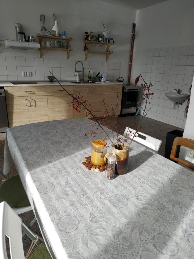 Apartmán v Anenském údolí Moravská Třebová Exterior foto